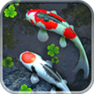 3d鱼池动态壁纸(Koi)
