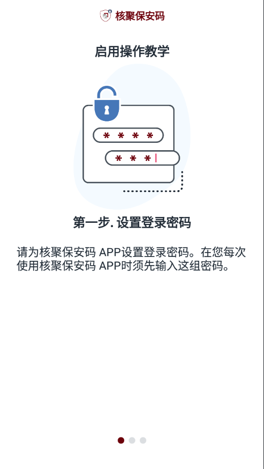 核聚保安码