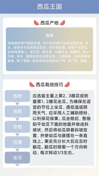 西瓜王国安卓版