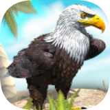 鸟类狩猎模拟器官网版