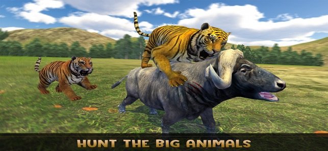 thelionfamily免费版