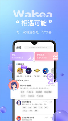 Walsea社交平台最新版