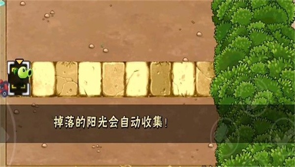 植物大战僵尸H