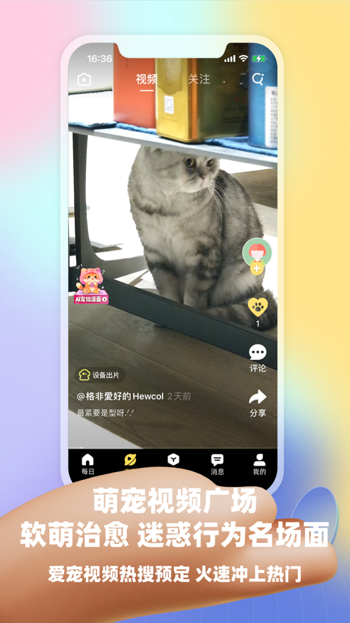 皮克方官网版