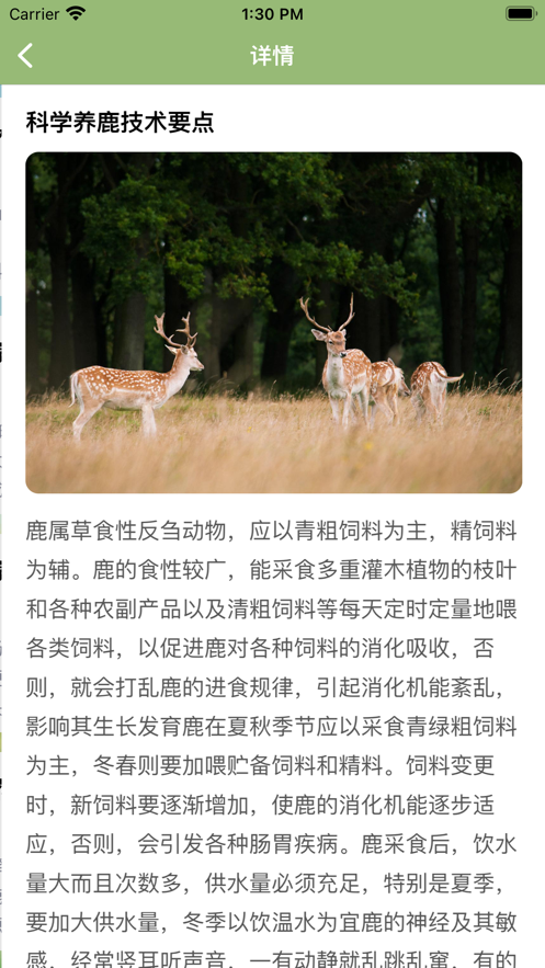 万鹿王官网版