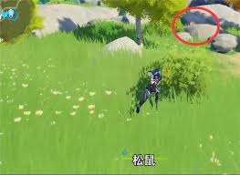 原神中松鼠的位置在哪