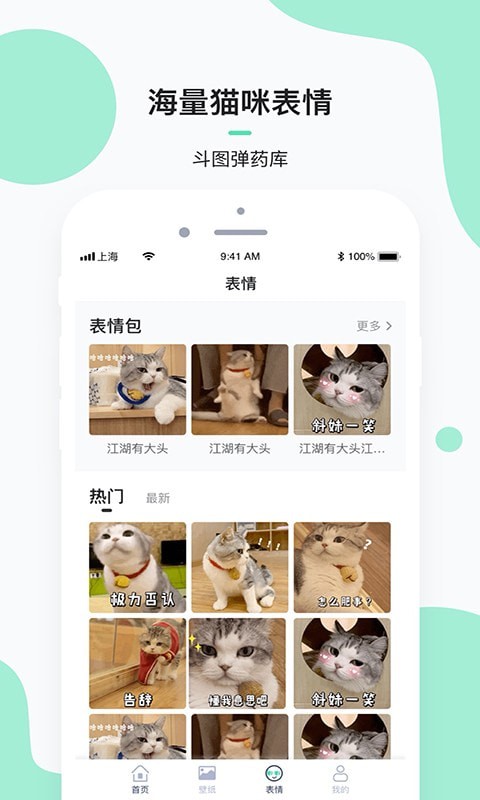 每日一猫最新版