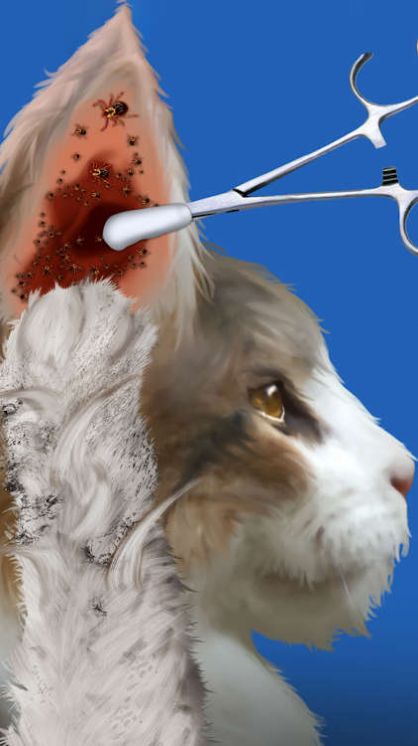 CatMakeover手机版