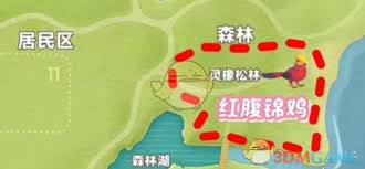 心动小镇新春季第三周的四只鸟位置在哪