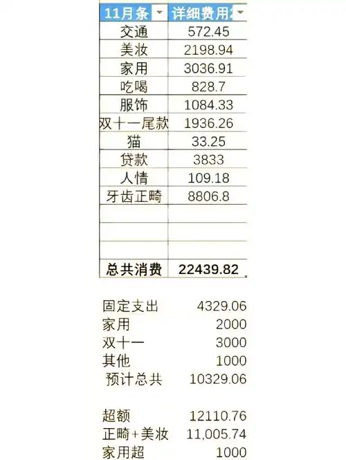 口袋记账如何查看账单总结