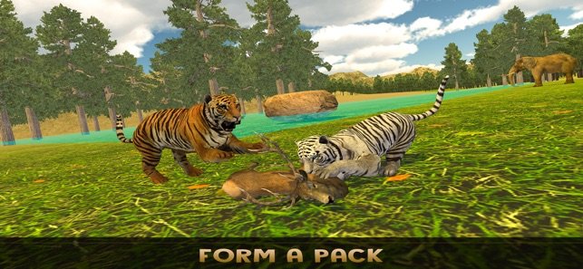 thelionfamily最新版