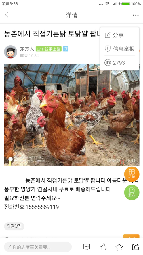 哈土豆官网版