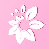 花儿直播自定义版