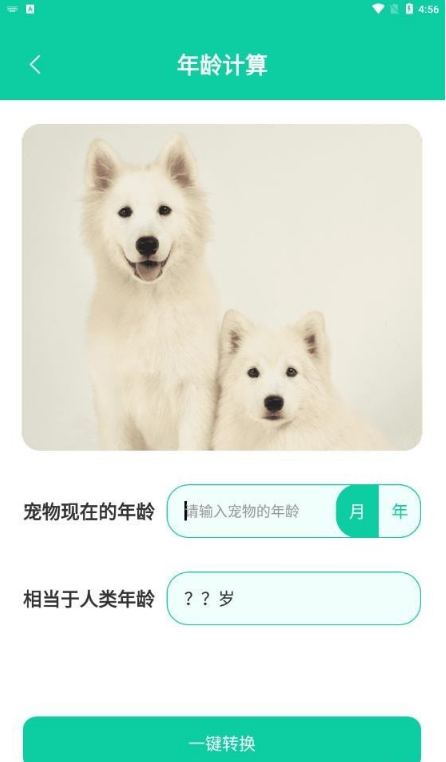 人狗翻译最新版