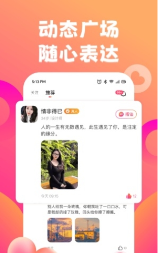 佳遇真人交友定制版