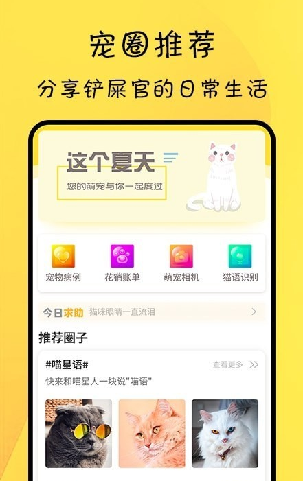 宠物记录