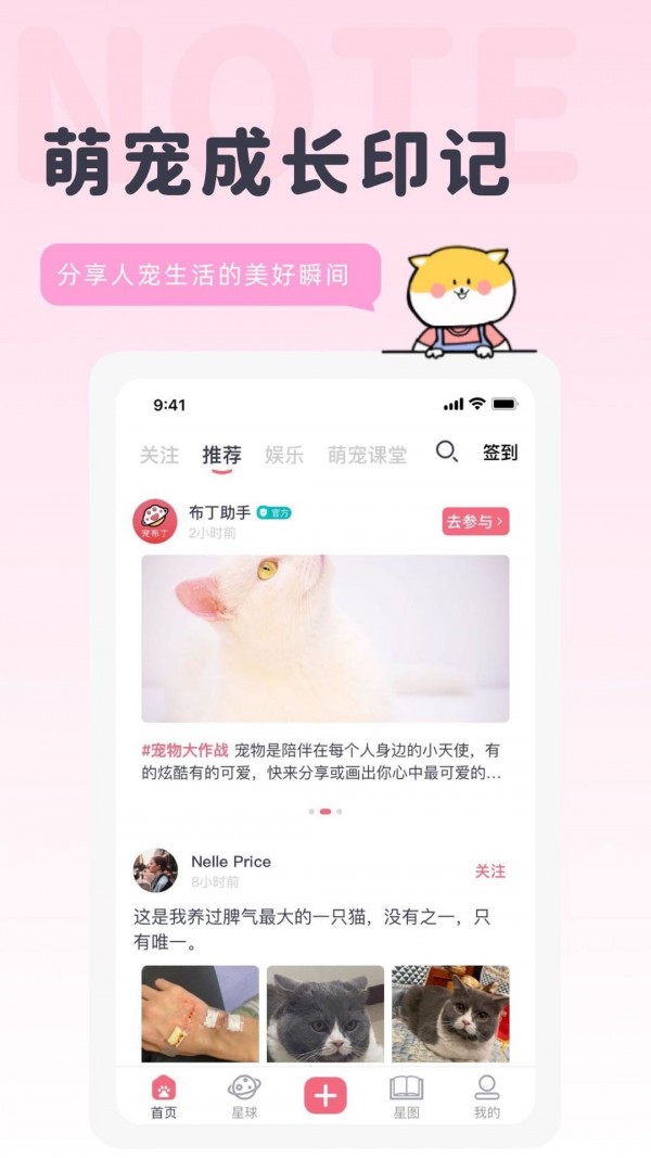 宠布丁手机版