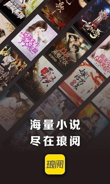 琅阅小说自定义版