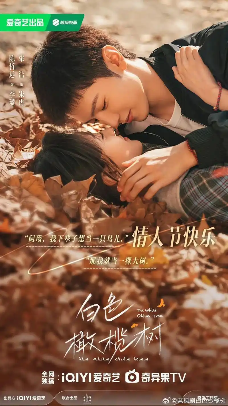 白色橄榄树免费观看平台介绍