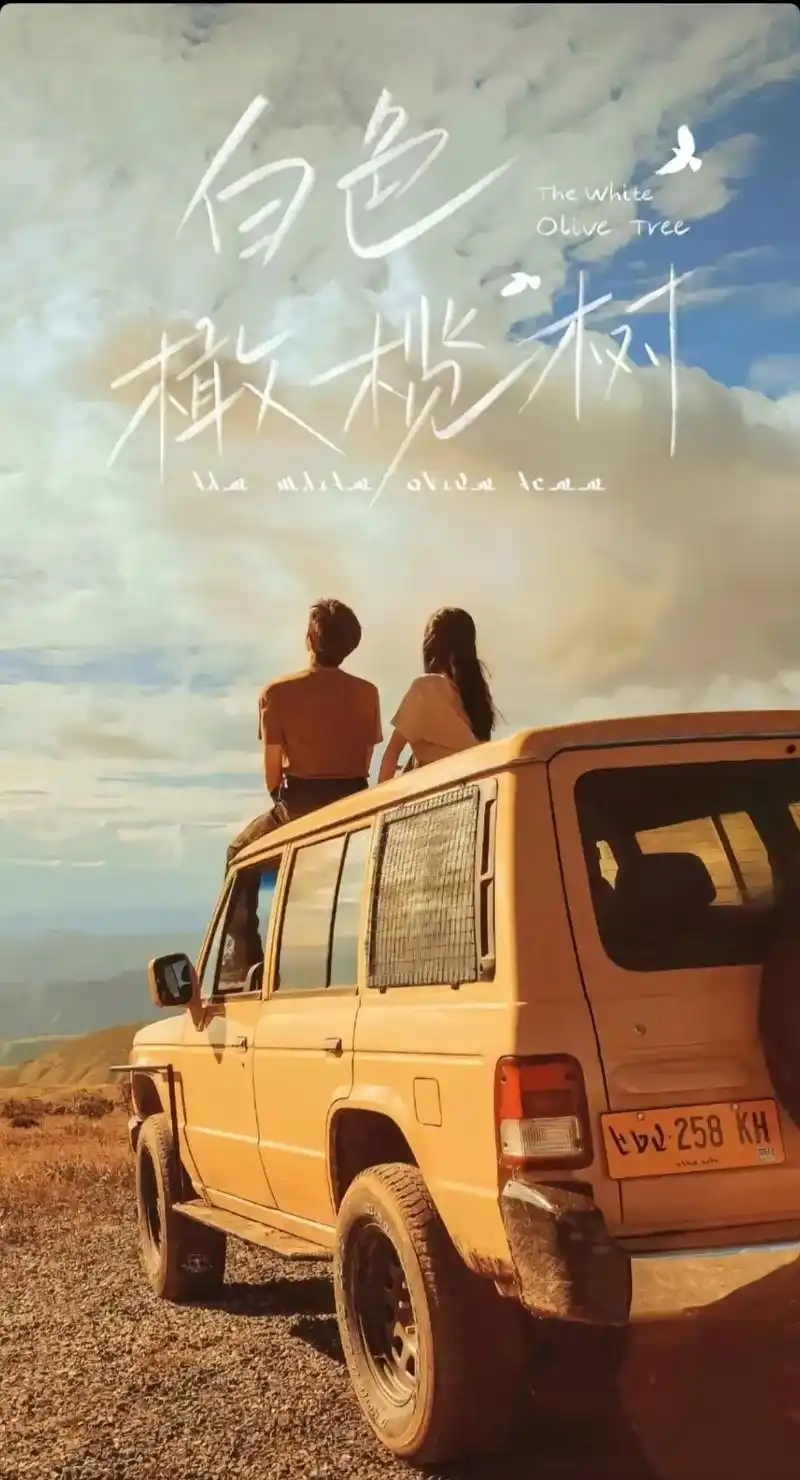 白色橄榄树免费观看渠道