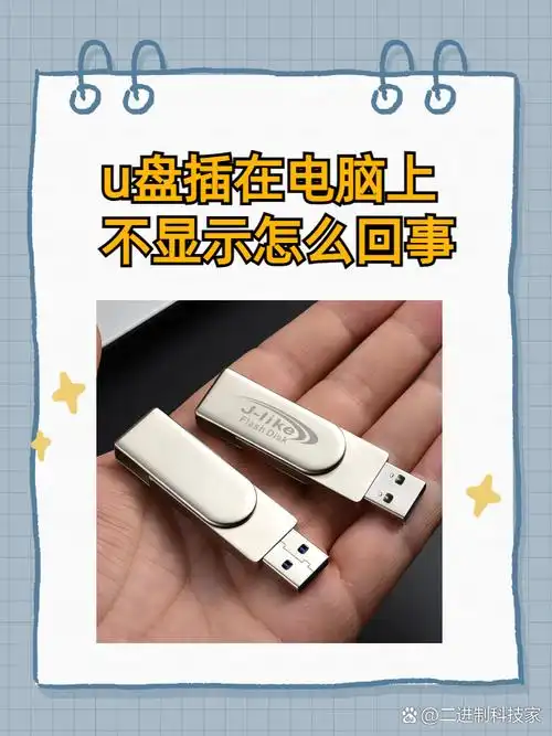为什么u盘不能显示word文件