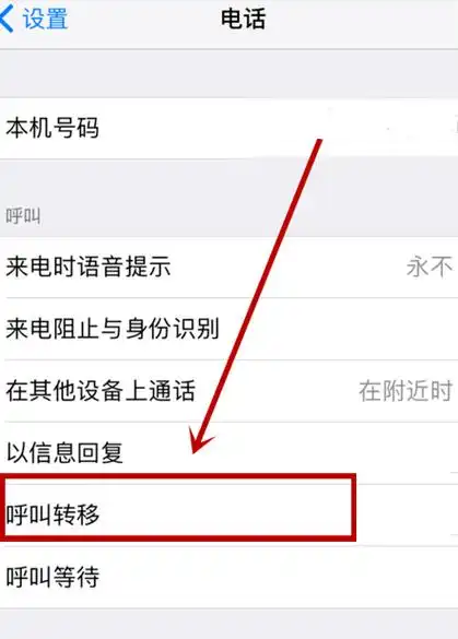苹果双卡双待怎样设置呼叫转移