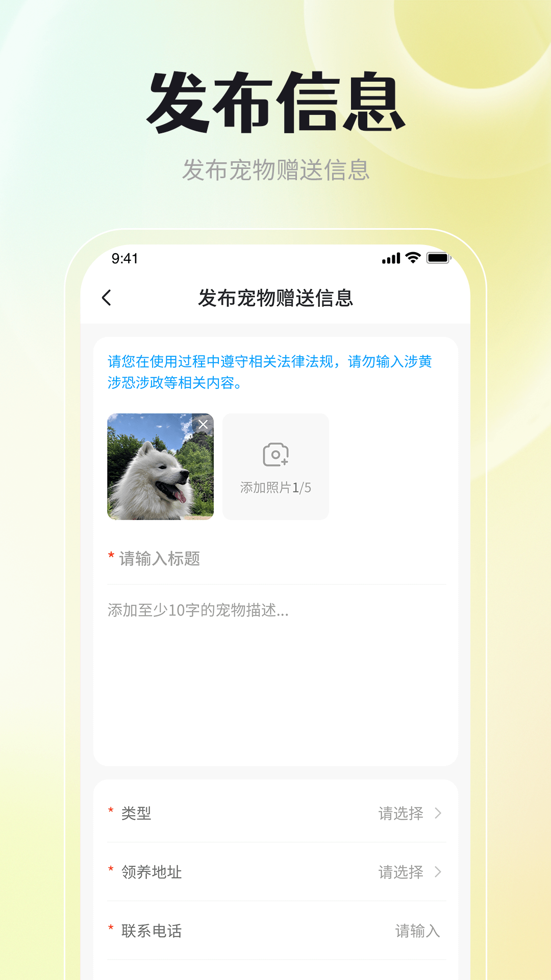 宠物领养互助手机版