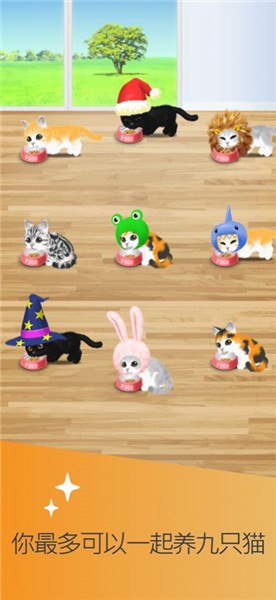 治愈的猫育成最新版