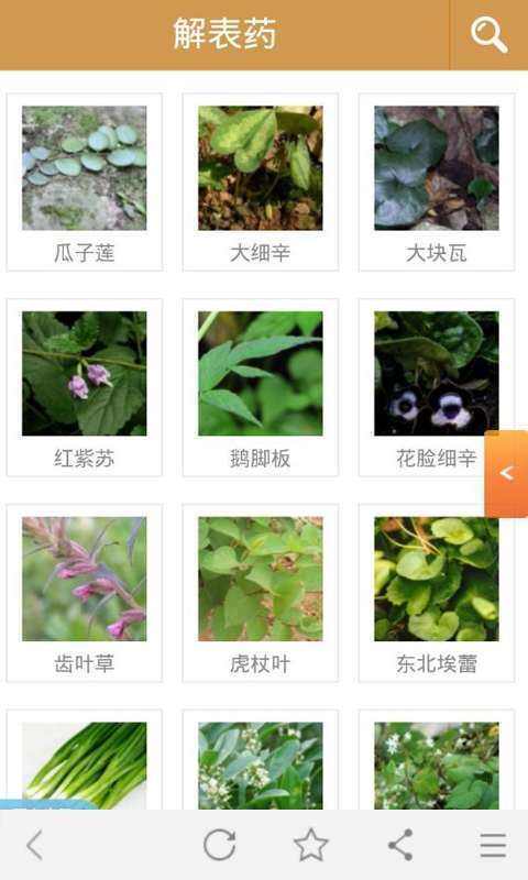 中药大全最新版