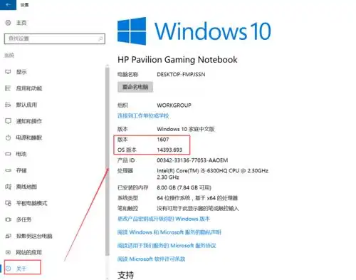 如何查看Win10版本号