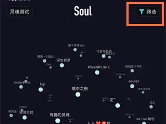 soul如何筛选匹配性别