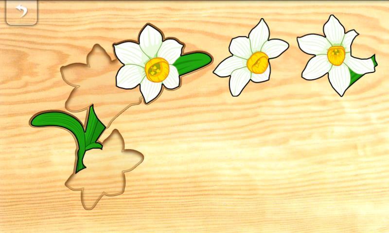 宝宝拼图：植物最新版