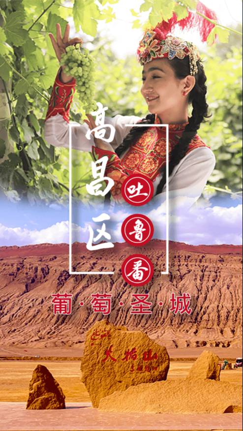 高昌好地方最新版