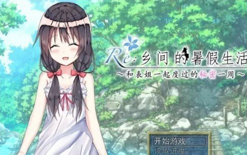 乡间的暑假生活付费版