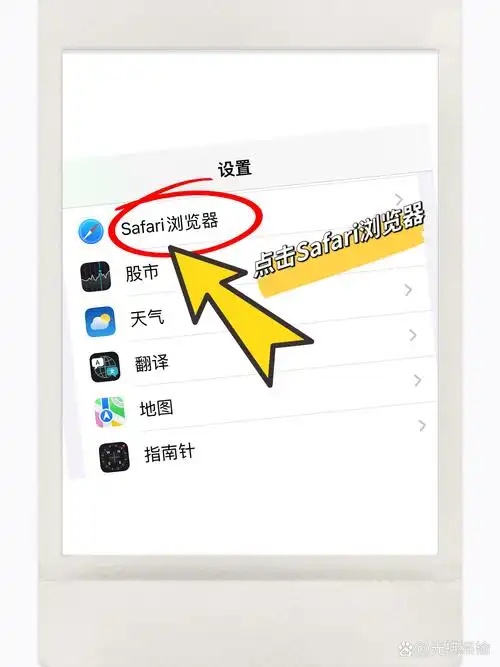safari怎么直接进入网址