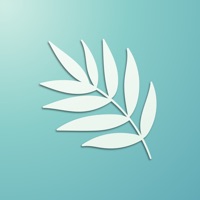 薄荷翻译:多语言文字文本互译免费版