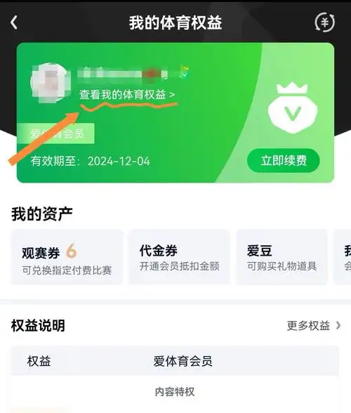 如何取消爱奇艺连续包年自动续费