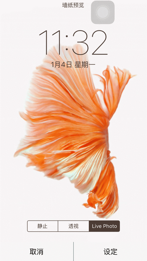 苹果手机15怎么设置动态表盘图片