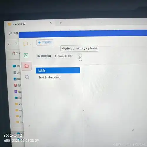 如何进行Deep Seek本地部署