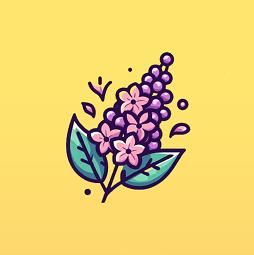 丁香优化大师最新版