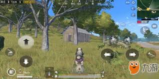 和平精英热带雨林怎么玩