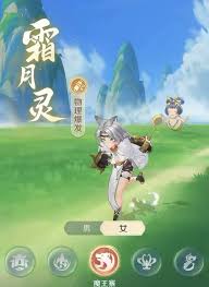 灵兽大冒险职业攻略是什么