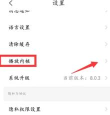 知鸟怎么切换语言
