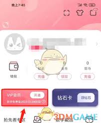 看漫如何开通会员