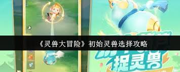 灵兽大冒险初始灵兽如何选择