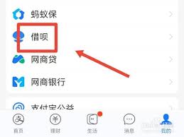 如何查看还呗借款记录