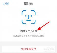 苹果手机打开面容支付仍需密码是怎么回事