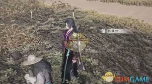 燕云十六声开封万事知田中生金任务攻略