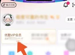 如何取消优酷会员自动续费