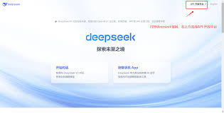deepseekr1满血版如何使用技巧